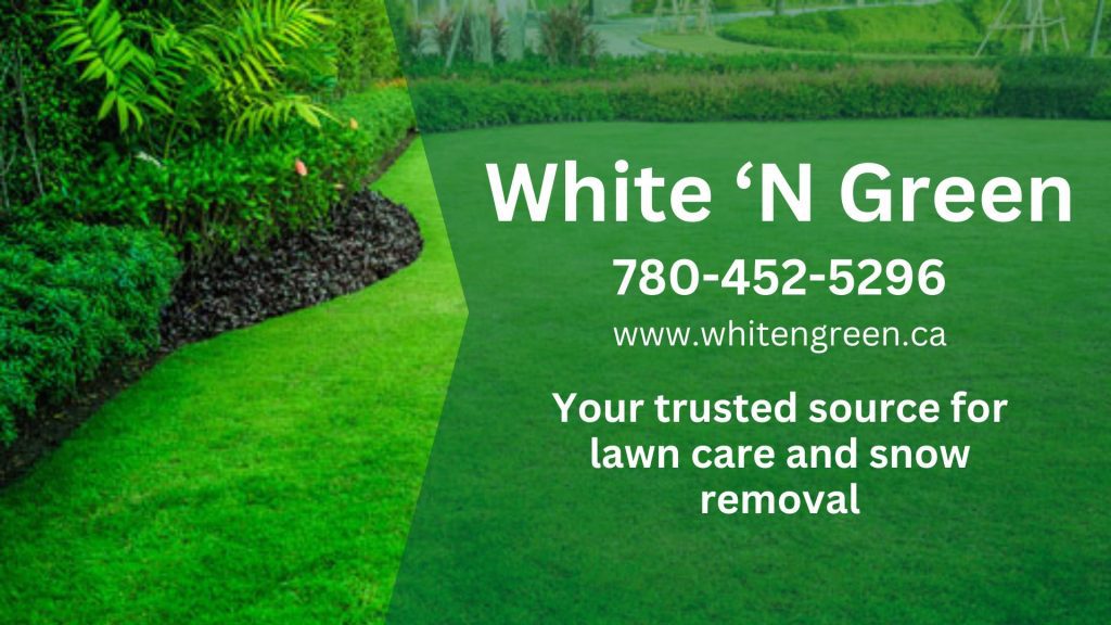 White ‘N Green Inc