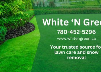 Lawn Care Services Edmonton